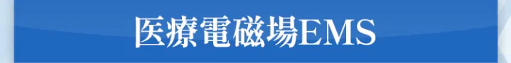 医療電磁場EMS