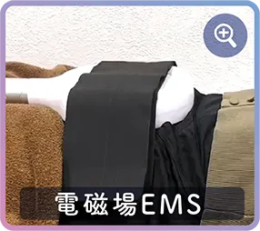 電磁場EMS