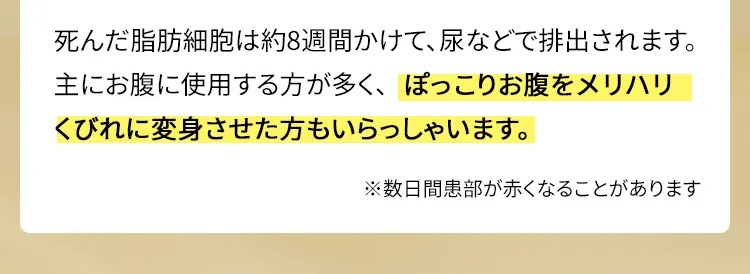 死んだ脂肪細胞は約8週間かけて、尿などで排出されます。主にお腹に使用する方が多く、ぽっこりお腹をメリハリくびれに変身させた方もいらっしゃいます。