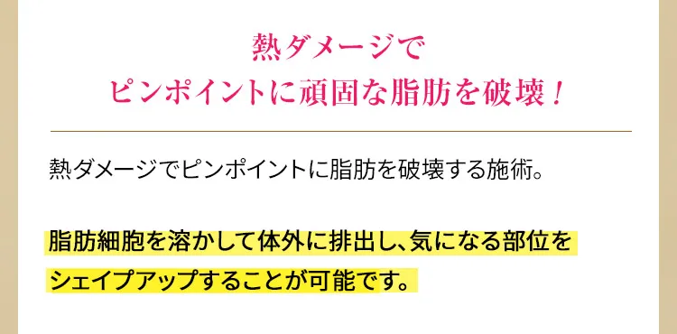 熱ダメージでピンポイントに頑固な脂肪を破壊！　熱ダメージでピンポイントに脂肪を破壊する施術。　脂肪細胞を溶かして対外に排出し、気になる部位をシェイプアップすることが可能です。