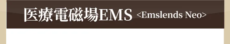 医療電磁場EMS＜Emslends Neo＞