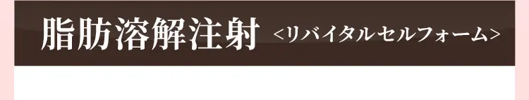 脂肪溶解注射＜Deolipo＞