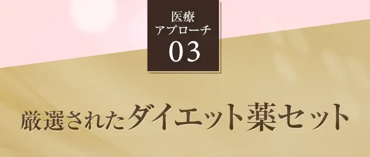 医療アプローチ03　厳選されたダイエット薬セット