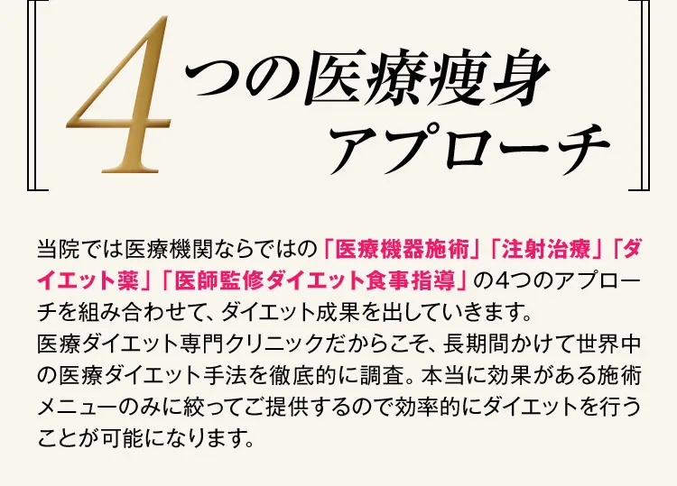 4つの医療痩身アプローチ