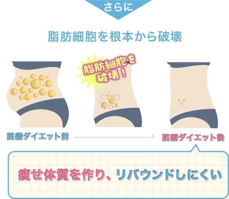 脂肪破壊イラスト
