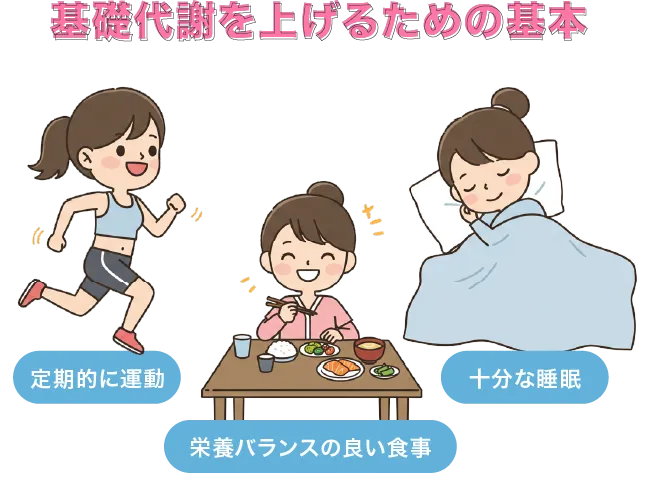 基礎代謝を上げるための基本のイラスト
