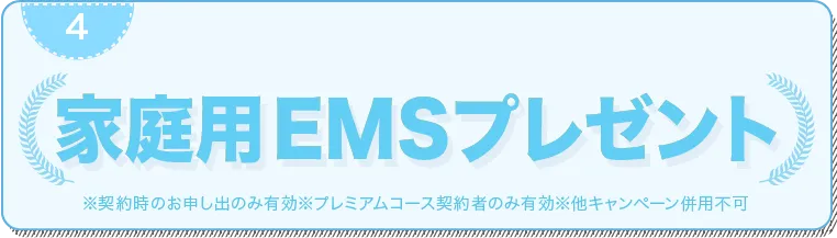 家庭用EMSプレゼント