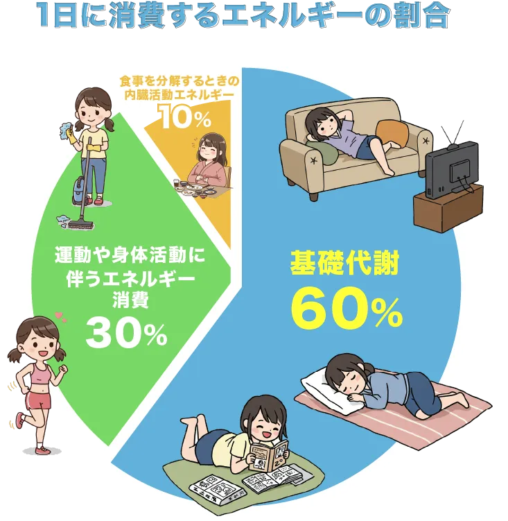一日中の消費エネルギー消費割合