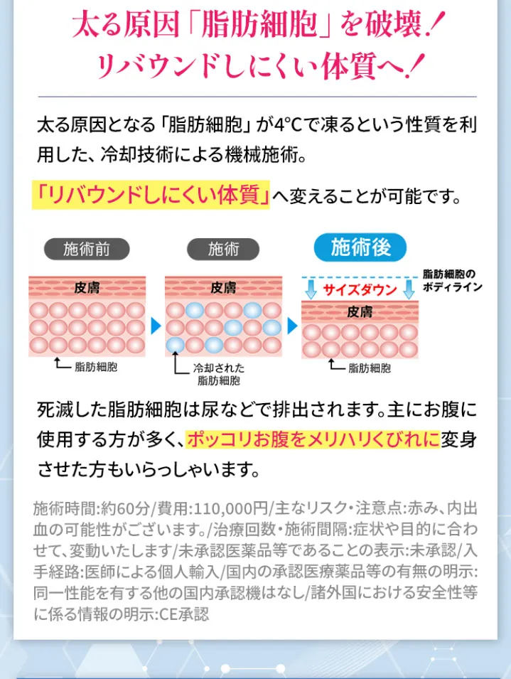 脂肪冷却装置