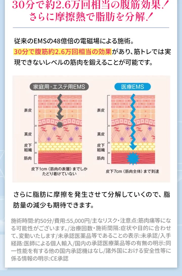 医療電磁場EMS