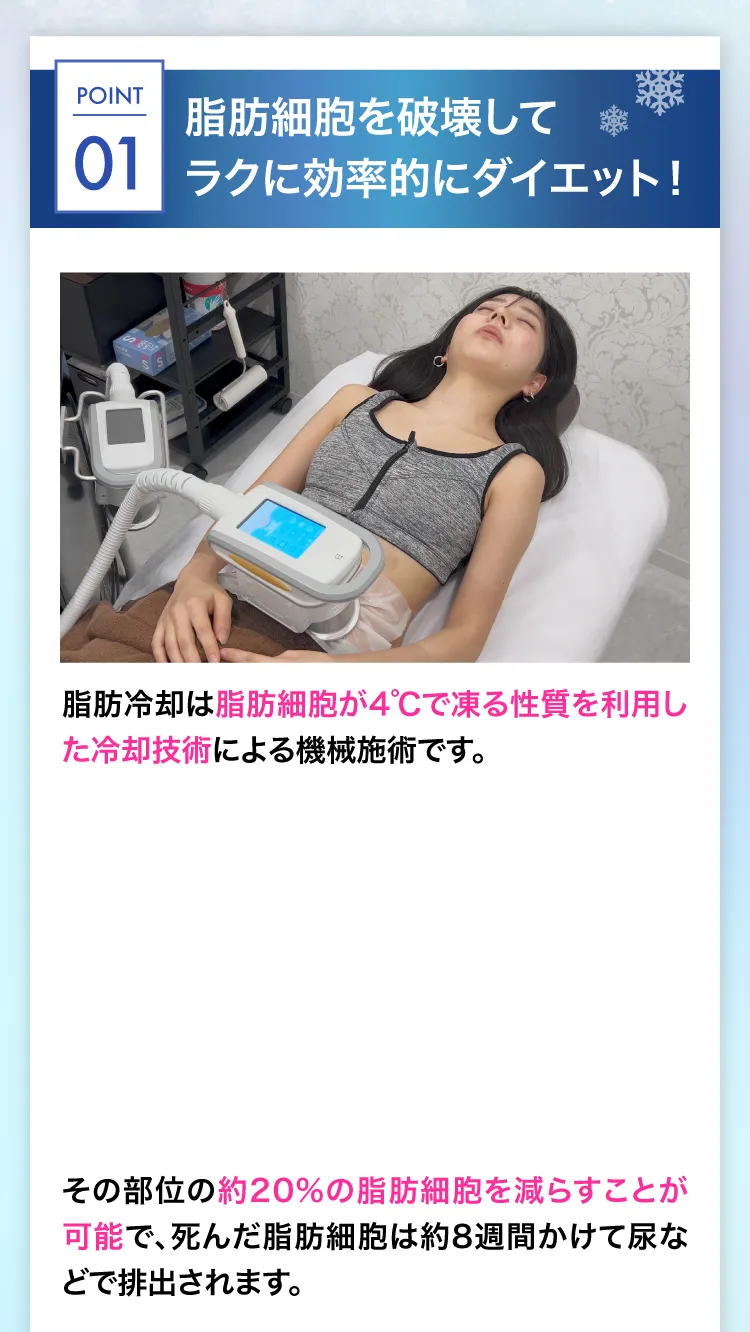 脂肪細胞を破壊してラクに効率的にダイエット！