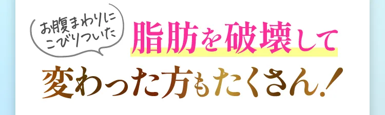脂肪を破壊して変わった方もたくさん！