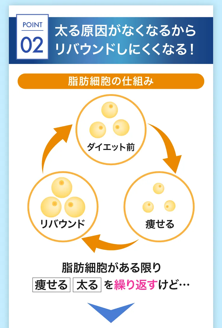 太る原因がなくなるからリバウンドしにくくなる！