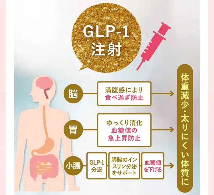 GLP-1注射　脳　満腹感により食べ過ぎ防止　胃　ゆっくり消化血糖値の急上昇防止　小腸　GLP-1分泌　膵臓のインスリン分泌をサポート　血糖値を下げる　体重減少・太りにくい体質に