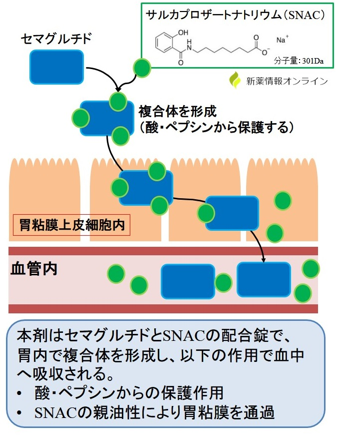 SNACの作用機序