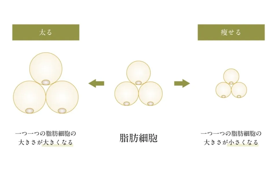 痩せられない理由1